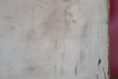 117158197_672403056822939_3041781102479084559_o