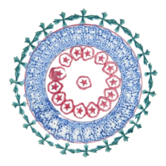 39024205_10156782118954235_1045222369276198912_n