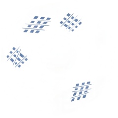 ca909a72-b1f9-4f1e-9b01-1f73cf6e2762