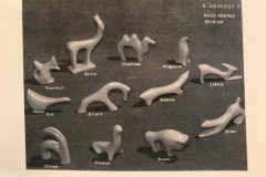 22855560_10159565130435002_2070923385_n