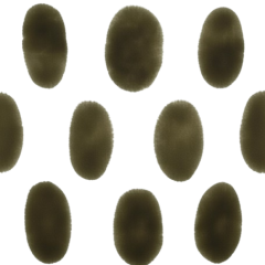 7ed55919-2614-45d4-b021-d62fdc369089