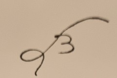 BL-1786-3