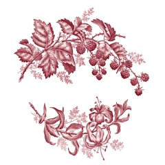 Flora