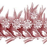 Helene