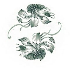 MMKO (Mbuji-Mayi-Kasai-Oriental)