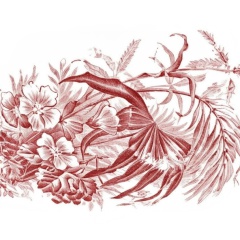 Plantas