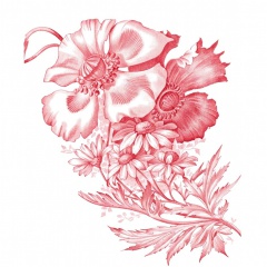 Primavera