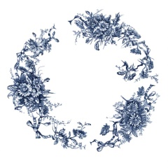 Paquerette