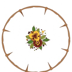 D.1068-Madia