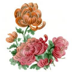 D.334