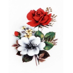 08dd5601-94ab-475c-9f6a-fb185ba167c9