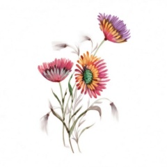 0d95333b-4798-461a-8c1b-5eb76a0bba39