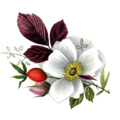 0e29e9e2-996a-4834-b889-3c294e80d9fc