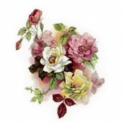 0e69f6c0-8073-4f63-9c44-3600033a7772