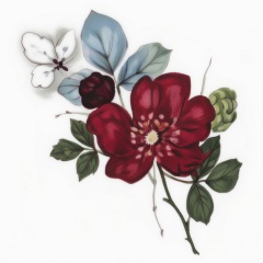 1069b08c-dbf4-4071-b2d3-c185b090890e