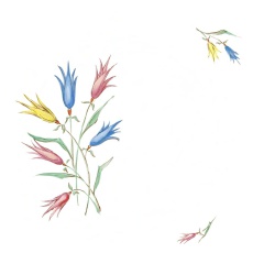 2ac5e902-616b-4823-a796-472e14990f8c