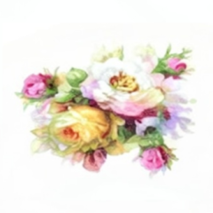 2b3e3322-3a91-4e9d-9b0f-4505452f1ec8