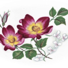 2e6378ec-b6b1-44d4-ac33-6f3d94e5e358