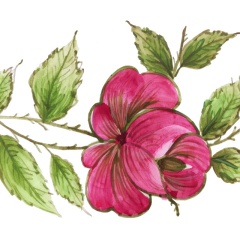 37513df4-06d2-4f31-afc3-f66d806a03a5