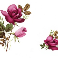 47288db6-d449-441a-8cb5-a9207ffea1bd