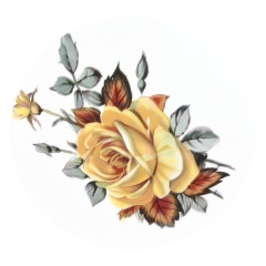 4edcba77-808d-4328-b11b-e21b8cba81be