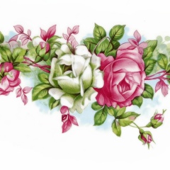 5d6626ad-8483-4da9-831e-eb55018e6fe1