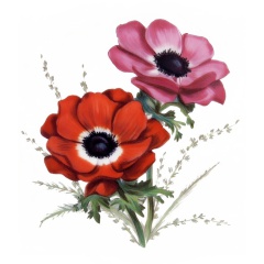 65db9bc4-12f2-4afb-b829-7e82748529bb