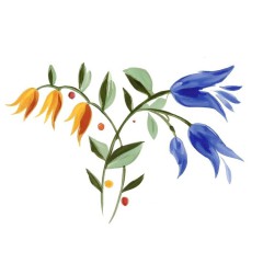 69d4b251-68e0-4c90-8d41-d506cd5e6e18