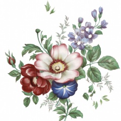 6df4ebcc-a7d5-4012-a279-99faeabf5bd7