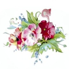 6fb16e27-d43d-4622-bc4c-6e4e0a66faeb