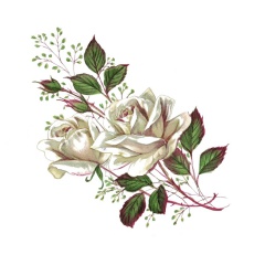 737a7780-b04b-4710-832a-9348f72d8ec7