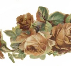 79cb6ee0-1d1c-4fd6-9d32-01a5e6d5f0dd