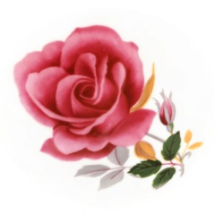 7b73bcaa-6484-48d1-b275-e4ba8557027f