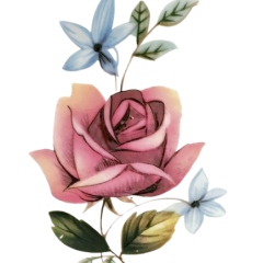 80c87401-3de5-4d7a-847e-b2cab1f69f90