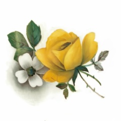 814b1127-cf94-4be4-947c-377882ef4fbc