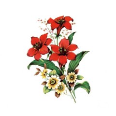 841550b5-9e3e-4275-95ce-110e6b252583