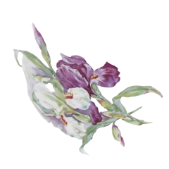 8983074e-ae9e-4c22-a36a-ded078c83368