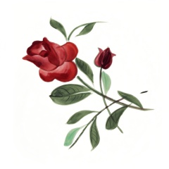 8f20ff77-3633-4be5-94e5-0024392eee3a