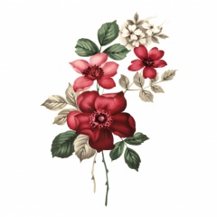 94e83200-a15d-41e7-8f17-07bc4ecac9e6