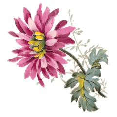 a4863413-d750-4cc1-938d-fcf0c13a9348