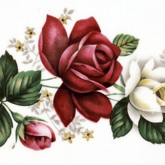 b4284905-fce7-44ee-9640-75a58d3df36a