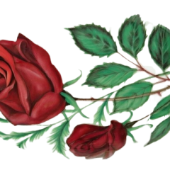 b705c32f-d097-4ad8-a6c9-2ca6539509ad