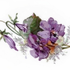 c371e738-b588-4fec-9d8f-cf341d929322