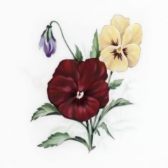 c806f447-a300-4826-9539-ff0bcb8a02bb