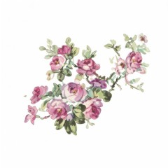 ce7cfea1-6c10-46e5-8a4f-7540644c2d12