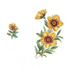 ceb9d3d8-a9ee-4553-b83d-c3cca722023f