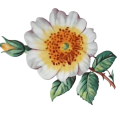 dac36dc3-af5d-4093-ab0e-0193b31da3f9