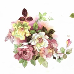 daca3e40-6215-44cc-8bc0-c9bd973c0574