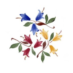 e77ba4d9-1a5c-4b6a-a2b4-0642e1251686