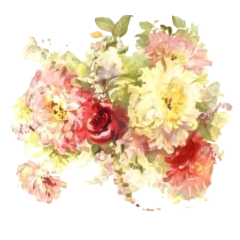 f492816e-a5a0-46bf-8e1b-c0224031ae07